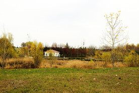 唯美的园林秋色