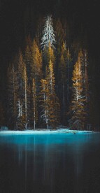 旅行风景树木湖