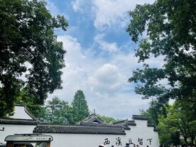 西溪湿地