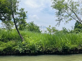 西溪湿地