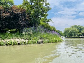 西溪湿地