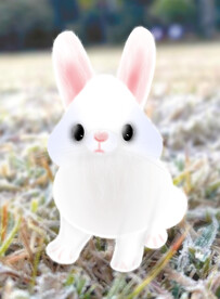 2023兔年可爱小白兔子