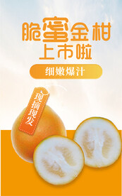 脆蜜金柑