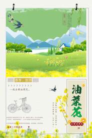 春天油菜花海报