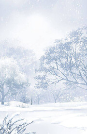 银白雪地