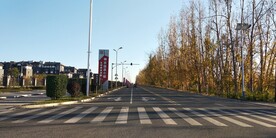 单侧树林行车道景观