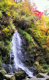 长白山秋色