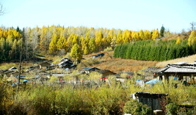 长白山秋色