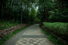 公园风景