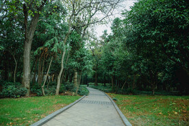 公园风景