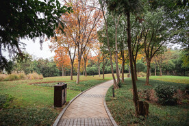 公园风景
