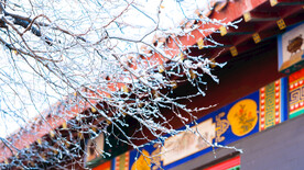 辽宁抚顺高尔山雪中树枝屋檐