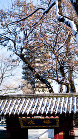 辽宁抚顺高尔山风景区塔院