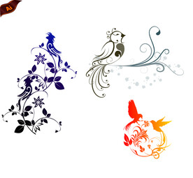 花鸟插画