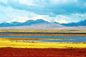 青海扎陵湖湿地