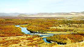 内蒙古额尔古纳湿地