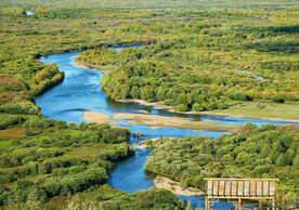 内蒙古额尔古纳湿地