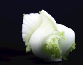 芥菜心