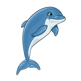 海豚