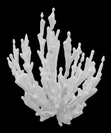 C4D模型 润滑油  