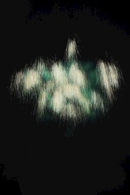 光