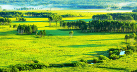 黑龙江南瓮河湿地