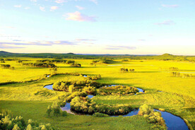 黑龙江南瓮河湿地