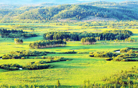 黑龙江南瓮河湿地