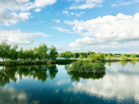 辽宁辽河七星湿地