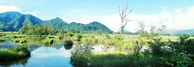 湖北大九湖湿地