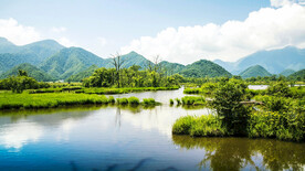 湖北大九湖湿地