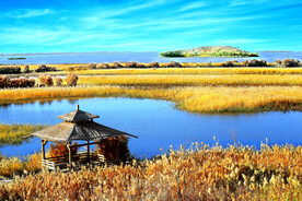 新疆巴楚红海湿地