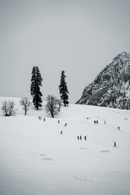 滑雪 