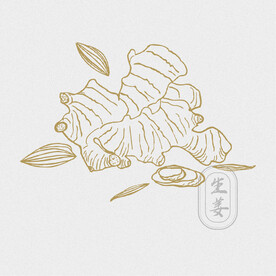 AI矢量生姜素材