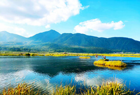 云南腾冲北海湿地
