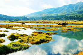 云南腾冲北海湿地