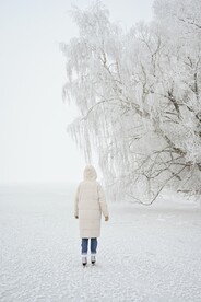 雪景