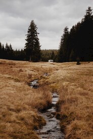 自然风景