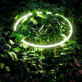 绿色植物背景底纹