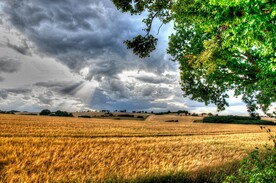 乡村乌云密布麦田