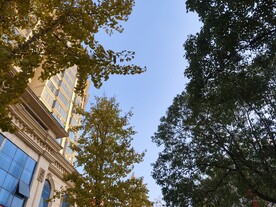 城市风景图