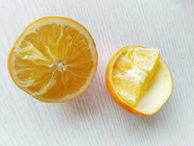 鲜橙
