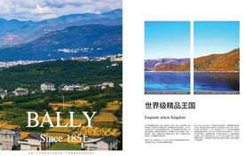 公司简介