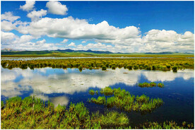 四川若尔盖湿地