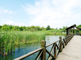 江苏溱湖国家湿地公园