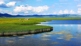 四川若尔盖湿地