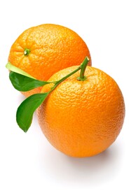 橙子