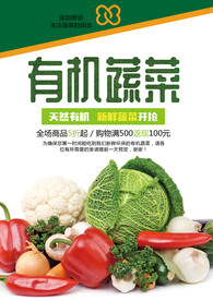 有机蔬菜