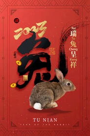 瑞兔呈祥