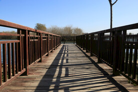 景观长廊观景步道